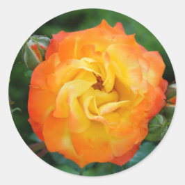 Roos Classic Ronde Sticker, Glanzend Sticker