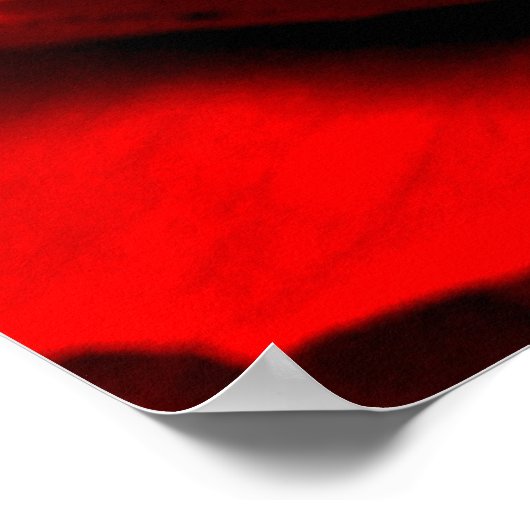 Roos close-up poster (Hoek)