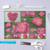 Roos Collage Pink Supreme Tissue Wrap Paper Tissuepapier (Craft)