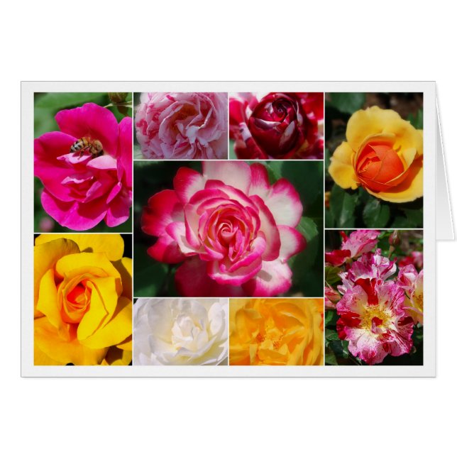 Roos Collage Yellow Interior Card (Voorkant Horizontaal)