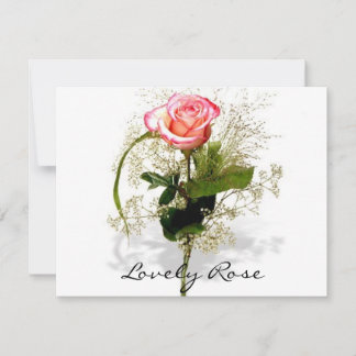 Roos Collectie