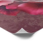 Roos Colored Beauty Poster (Hoek)