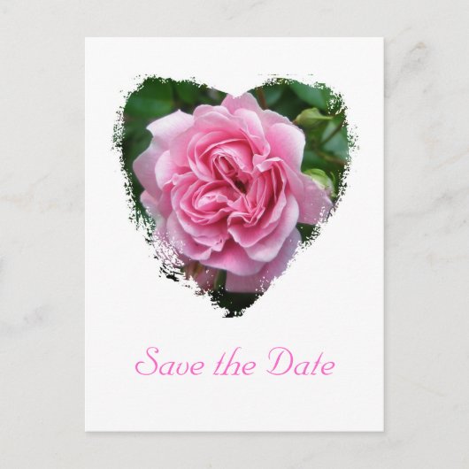 Roos coördinerende items beklimmen aankondigingskaart (Voorkant)