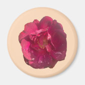 ROOS D MAGNEET (Voorkant)