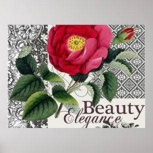Roos Damask Mooie Bloemige Antiek Poster