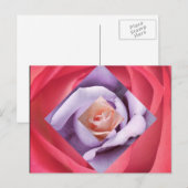 Roos Diamond Briefkaart (Voorkant / Achterkant)