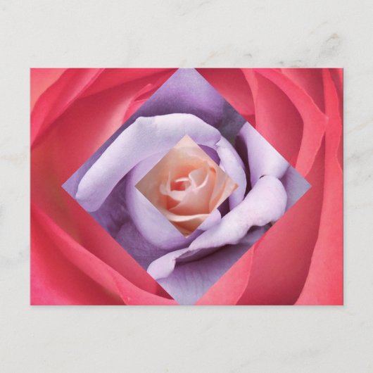 Roos Diamond Briefkaart (Voorkant)