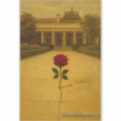 Roos door de scheur: achter de White House Sticker (Voorkant)