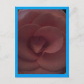 Roos Dragon Briefkaart (Voorkant)