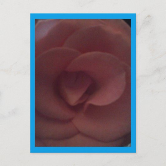 Roos Dragon Briefkaart (Voorkant)