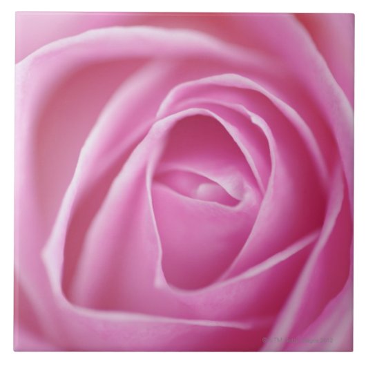 Roos, Duitsland Tegeltje (Voorkant)