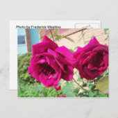 Roos Duo Briefkaart (Voorkant / Achterkant)