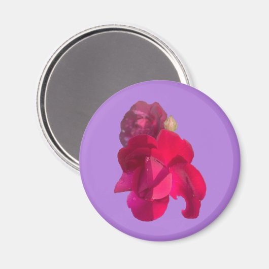 ROOS E MAGNEET (Voorkant / Achterkant)