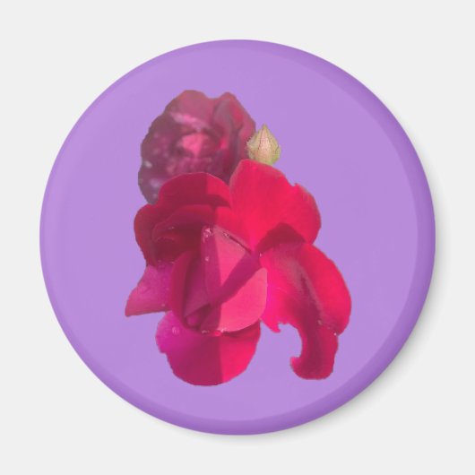 ROOS E MAGNEET (Voorkant)