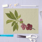 Roos Echte botanische druk Tissuepapier (Craft)