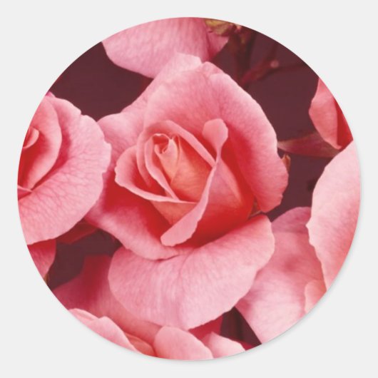 Roos Elegance Sticker (Voorkant)