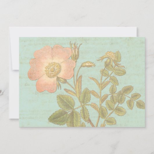  Roos Elegant 25th Jubileum Dinner Kaart (Achterkant)