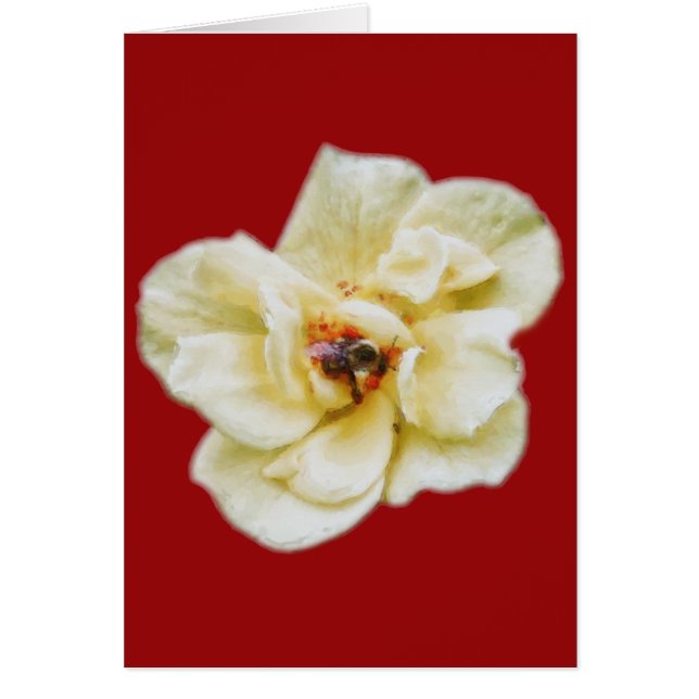 Roos en bijen (Voorkant)