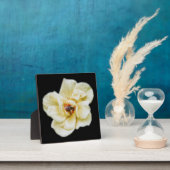 Roos en bijen fotoplaat (Insitu)