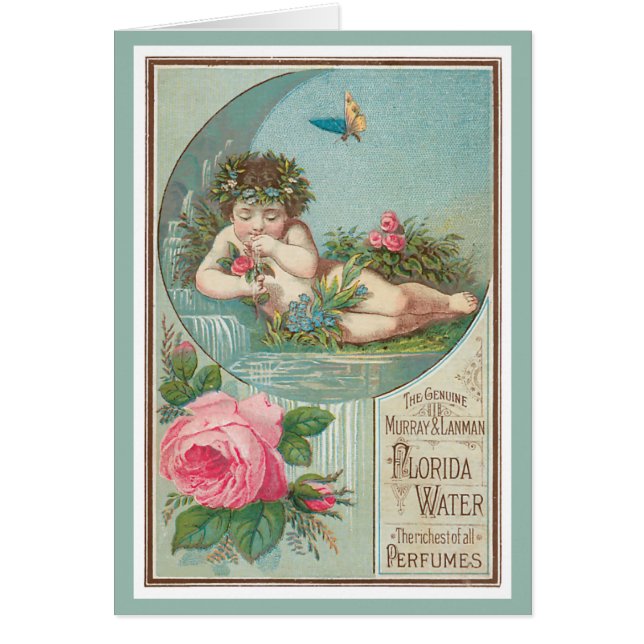 Roos en Cherub Florida Waters (Voorkant)