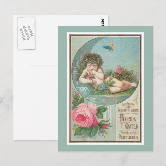 Roos en Cherub Florida Waters Briefkaart (Voorkant / Achterkant)