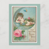 Roos en Cherub Florida Waters Briefkaart (Voorkant)