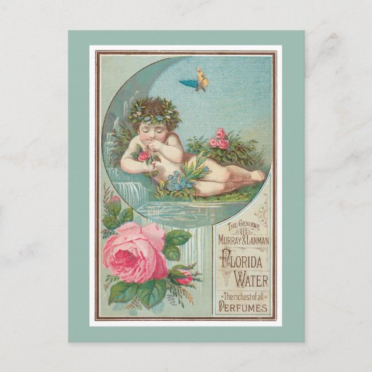 Roos en Cherub Florida Waters Briefkaart (Voorkant)