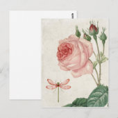 Roos en dragonfly Briefkaart (Voorkant / Achterkant)