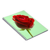 Roos en groen notitieboek (Rechterzijde)