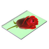 Roos en groen notitieboek (Linkerzijde)