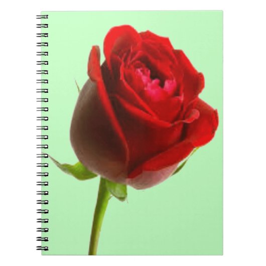 Roos en groen notitieboek (Voorkant)