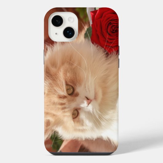 Roos en kat iPhone 14 plus hoesjes Hoesje (Achterkant)