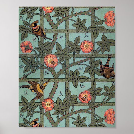 Roos en kleine vogel, William Morris Poster (Voorkant)