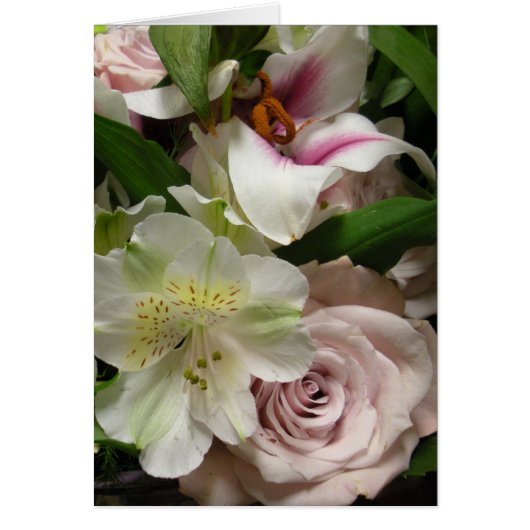 Roos en Lily (Voorkant)