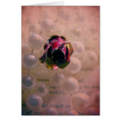 Roos en parels leven nog (Voorkant)