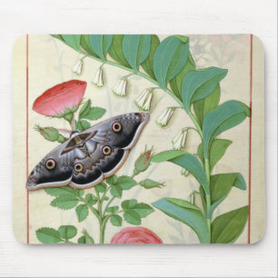 Roos en polygonatum muismat