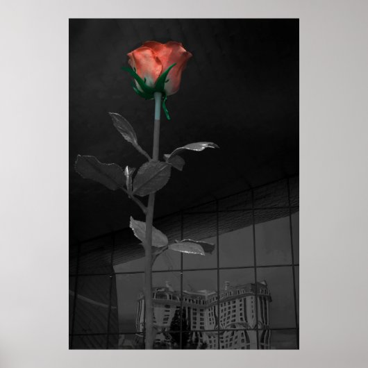 Roos en reflectie, Las Vegas Poster (Voorkant)