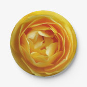 roos en rosebud papieren bordje (Voorkant)
