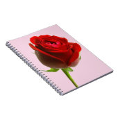 Roos en roze notitieboek (Rechterzijde)