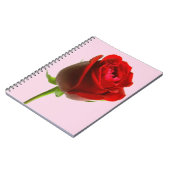 Roos en roze notitieboek (Linkerzijde)