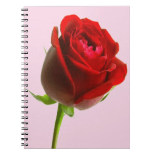Roos en roze notitieboek