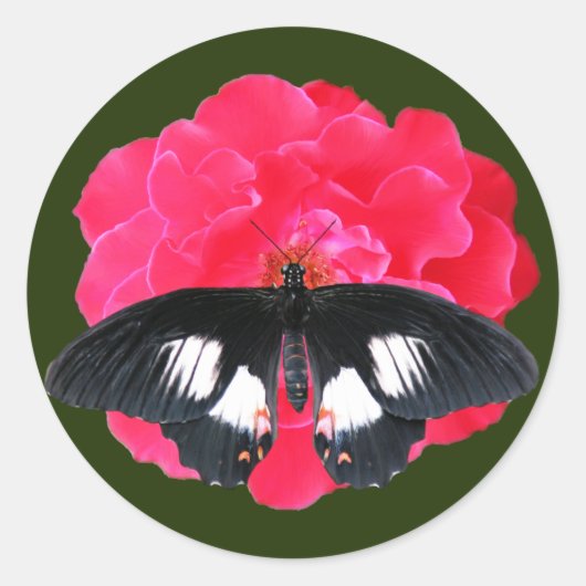 Roos en slibstaart ronde sticker (Voorkant)