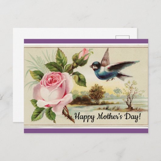 Roos en vogel Briefkaart (Voorkant / Achterkant)