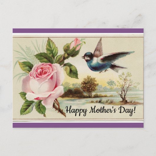 Roos en vogel Briefkaart (Voorkant)