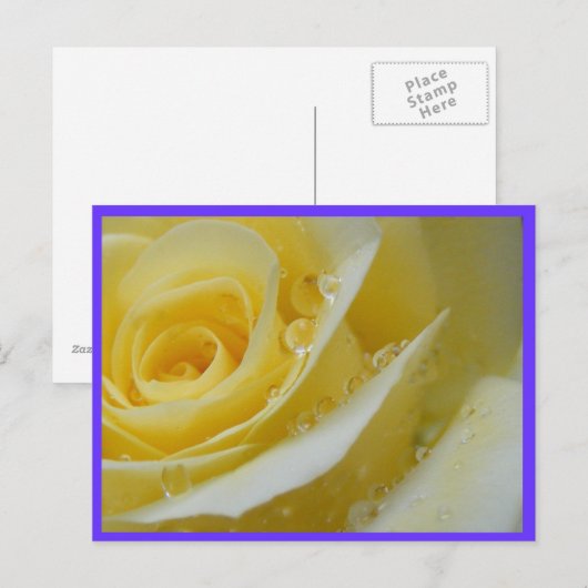 roos en watervallen briefkaart (Voorkant / Achterkant)