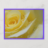 roos en watervallen briefkaart (Voorkant)