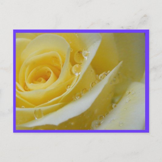 roos en watervallen briefkaart (Voorkant)