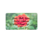 Roos Etiket (Voorkant)