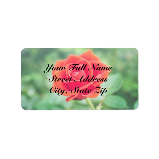 Roos Etiket (Voorkant)