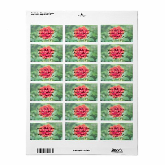 Roos Etiket (Full Sheet)